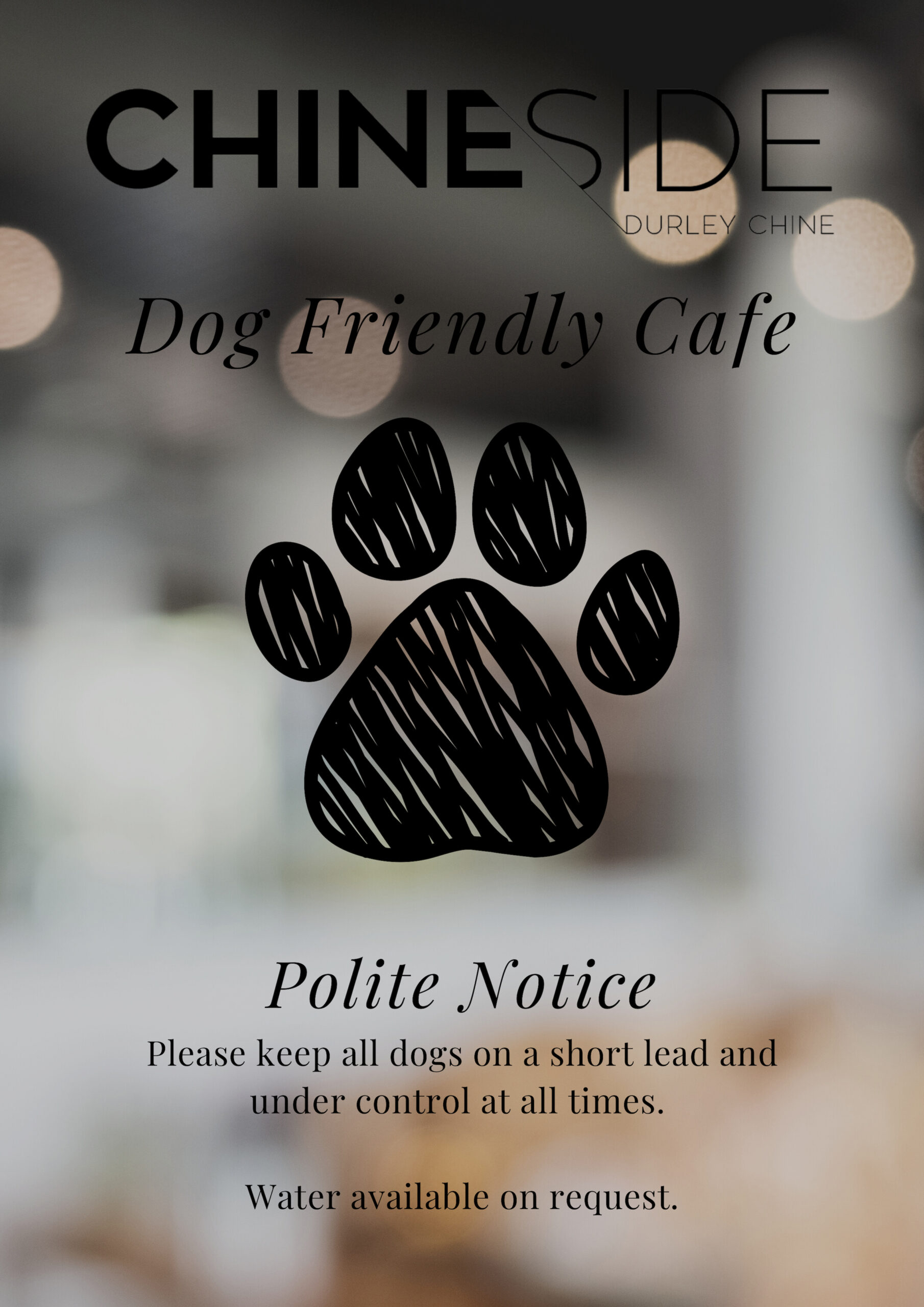 Dog Friendly Cafe Friendly Beach Cafe And Takeaway Located On The Dog Friendly Cafe Friendly Beach Cafe And Takeaway Located On The